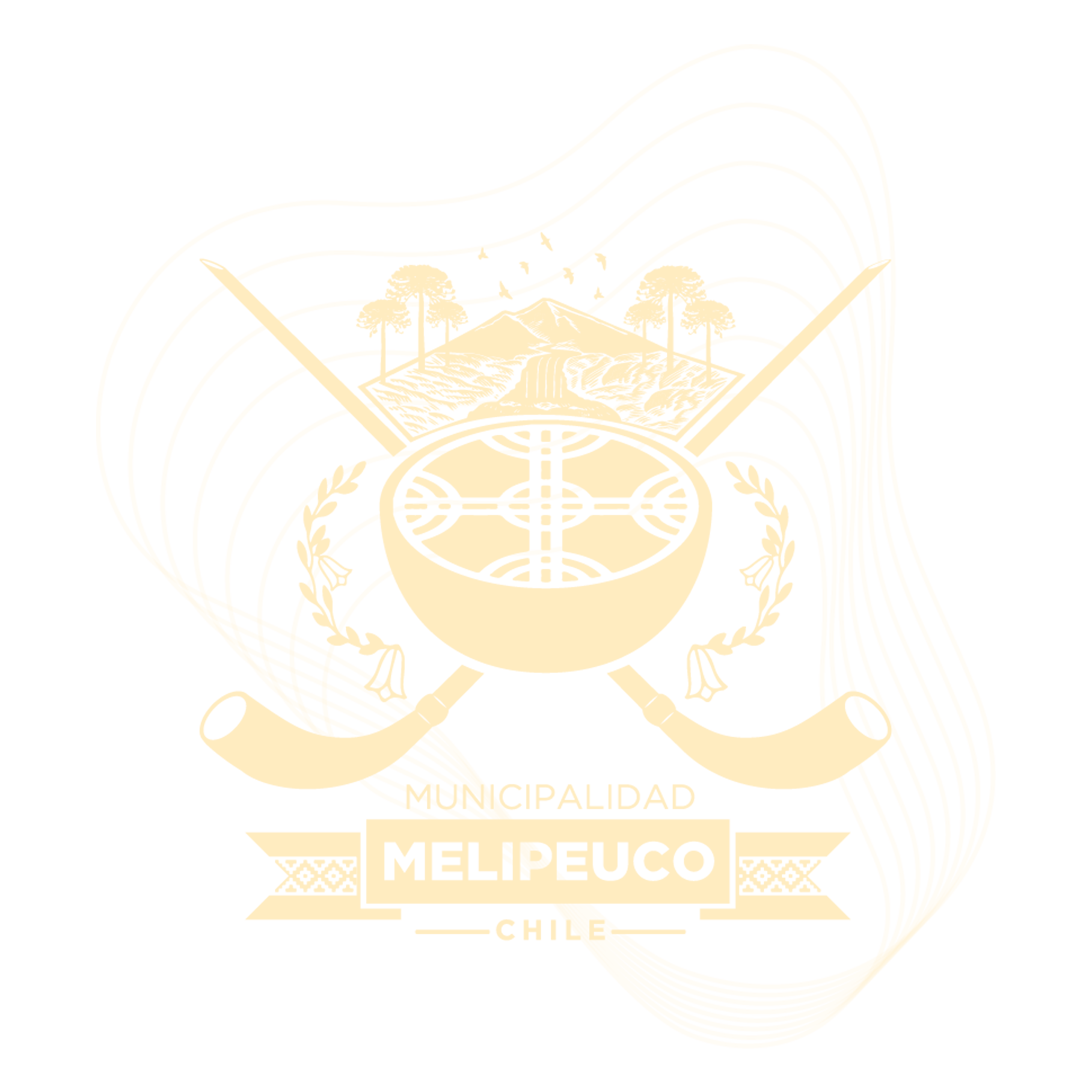 Municipalidad de Melipeuco